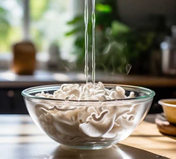 银耳泡发技巧，营养不流失的泡发时间大揭秘,银耳泡发时间揭秘，正确泡发银耳，营养不流失,养生,第1张
