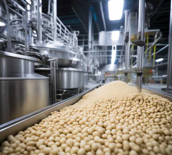 黄豆加工工艺解析，石膏粉用量大揭秘