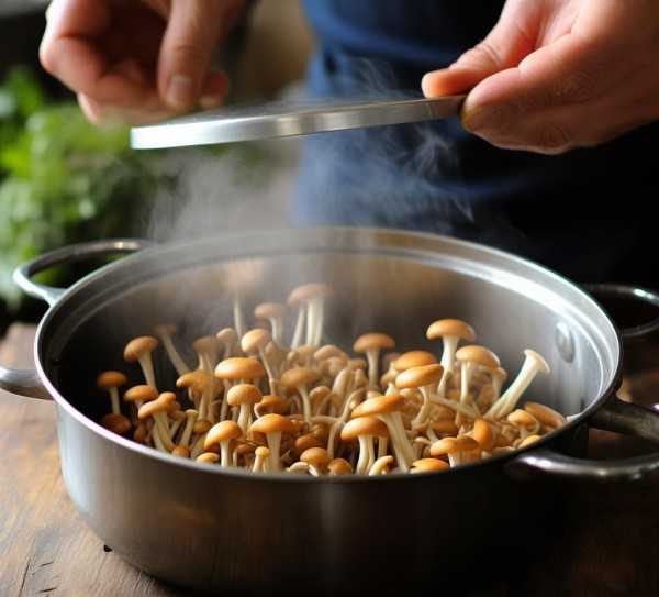 茶树菇烹饪熟度指南，揭秘烹饪技巧与时间掌控